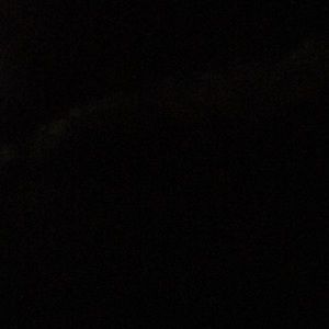 Meet your Posher, Toby